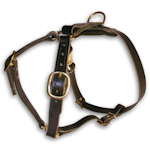 Luxury leather harness